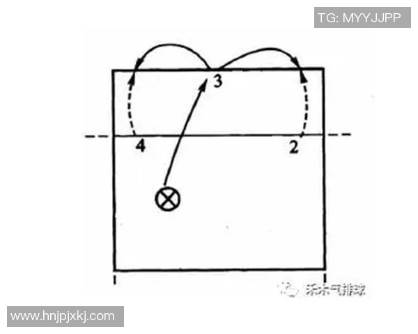 武汉排球队速度对比深度解析与战术分析 武汉排球队速度对比深度解析与战术分析