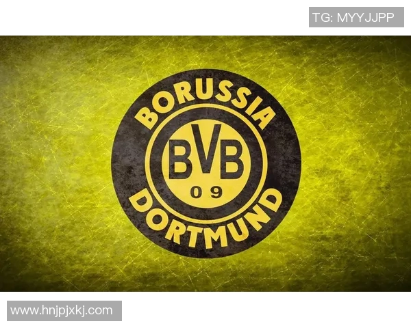 2014年多特蒙德与纽伦堡精彩对决全场录像回放分析 2014年多特蒙德与纽伦堡精彩对决全场录像回放分析